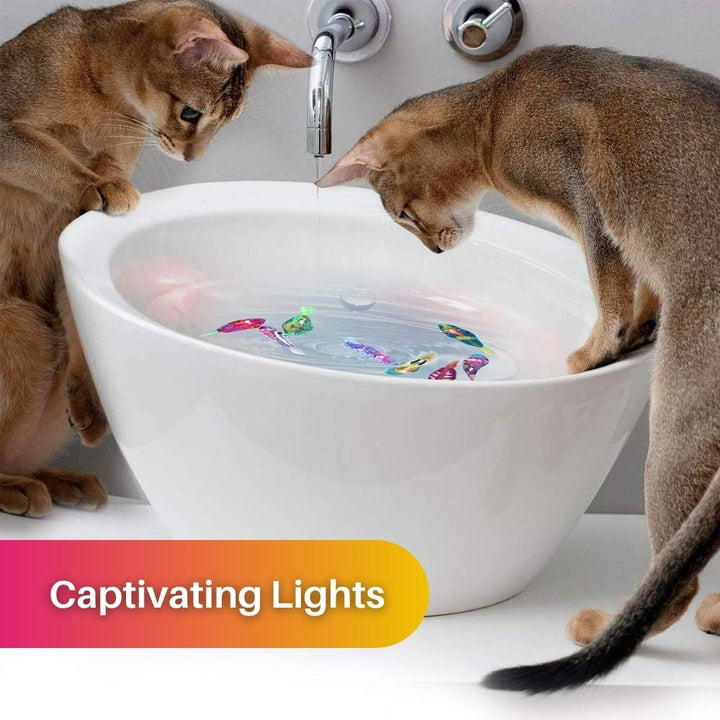 Senior Katze beim Spielen mit dem sanften, leuchtenden AquaPurr Fisch-Wasserspielzeug.