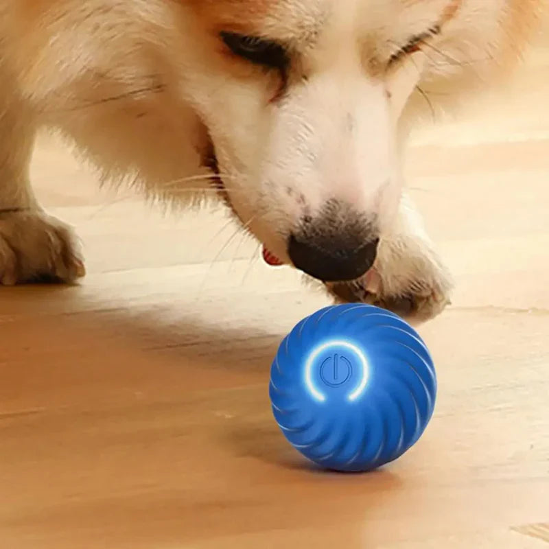 Automatisch rollender Hundespielball aus robustem Material, perfekt für interaktive Bewegung, Spielspaß und Zahnpflege.