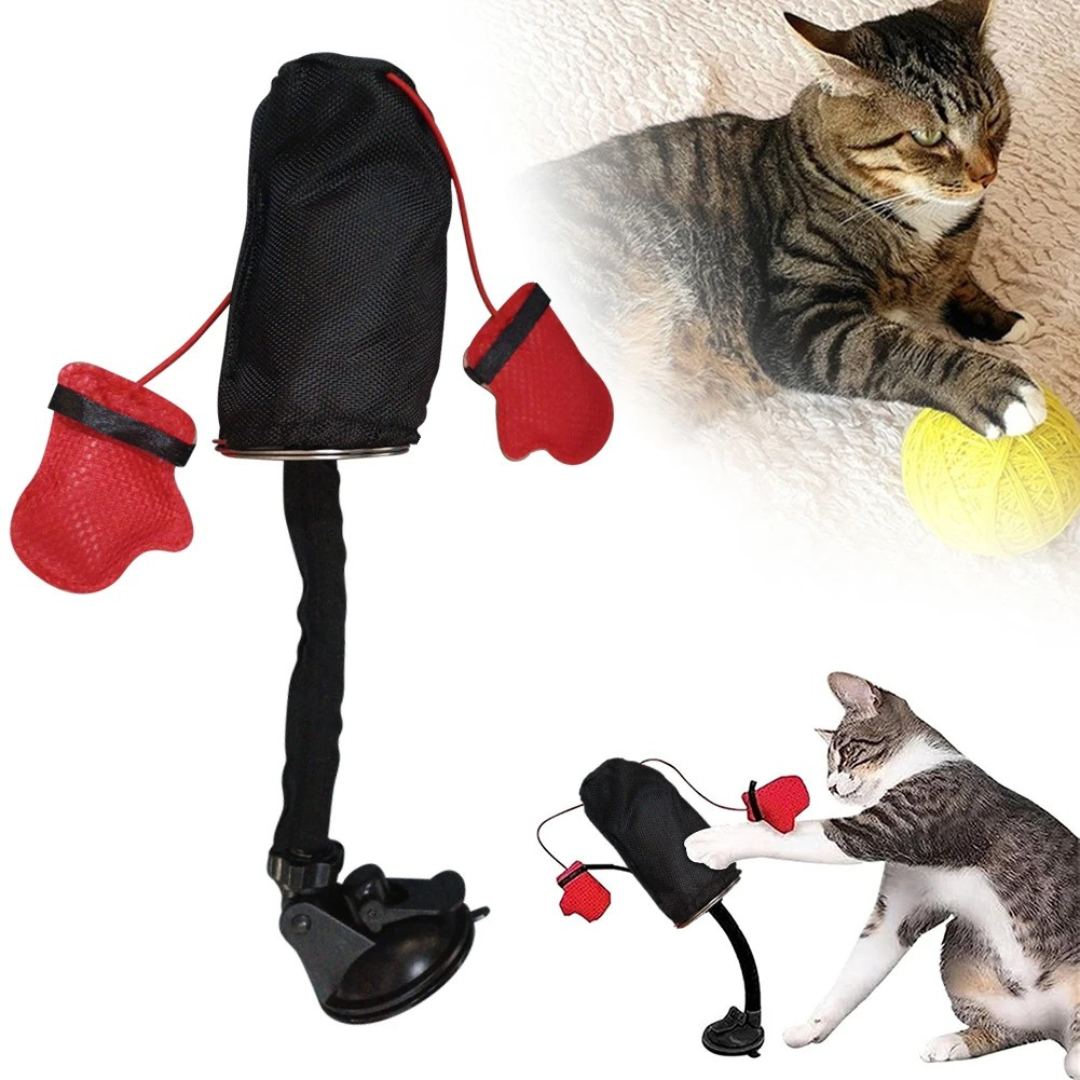 Interaktives Katzenspielzeug Boxsack; bietet Samtpfoten stundenlange aktive Unterhaltung und Bewegung zu Hause.