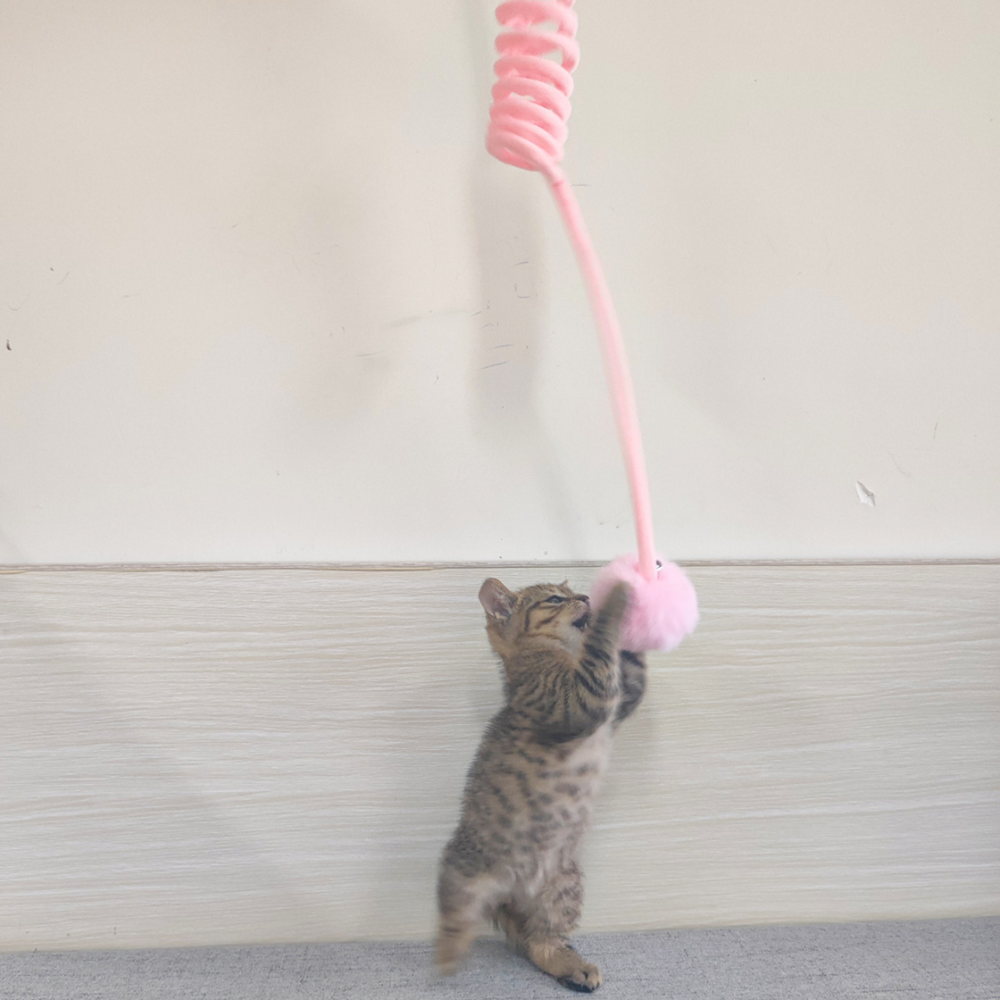Robustes Gummizug Katzenspielzeug zur aktiven Beschäftigung & Stressabbau für Haustiere.
