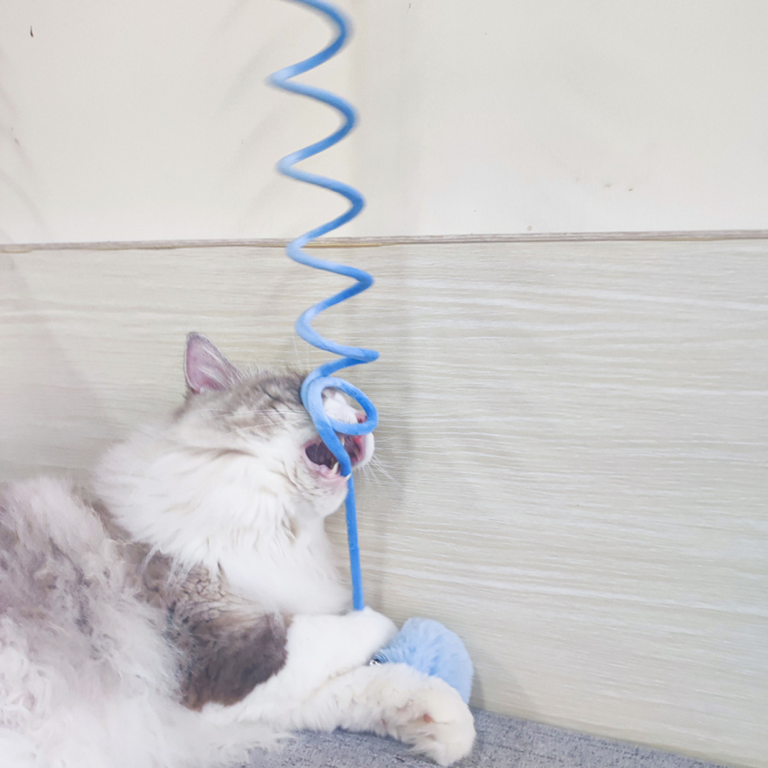 Interaktives Haustier-Spielzeug mit Gummizug für Katzen, regt Spieltrieb & Bewegung an.