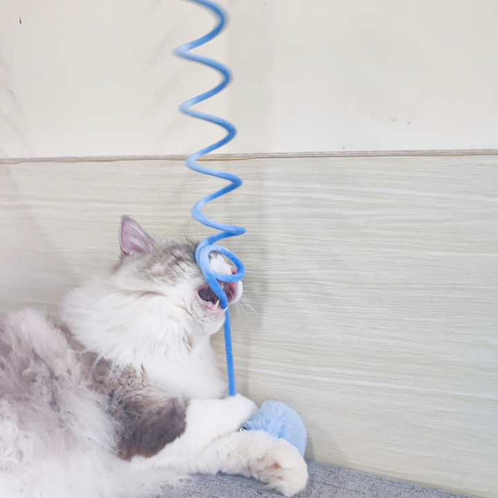 Interaktives Haustier-Spielzeug mit Gummizug für Katzen, regt Spieltrieb & Bewegung an.