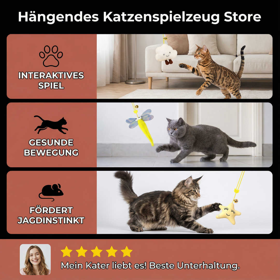Dieses interaktive Katzenspielzeug regt den natürlichen Jagdinstinkt an und hält Ihre Katze aktiv.