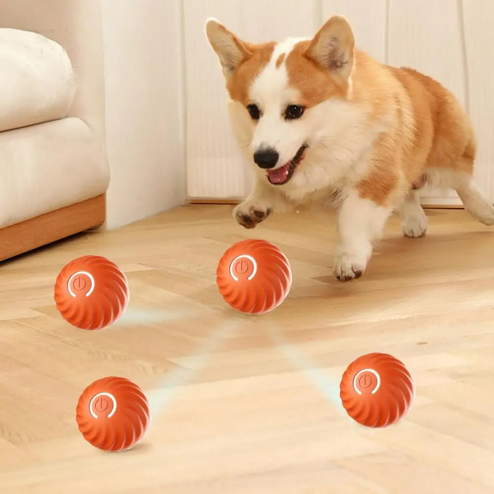 Interaktives Hundespielzeug: automatisch rollender Ball für Hunde. Fördert Bewegung und Unterhaltung des Haustiers.
