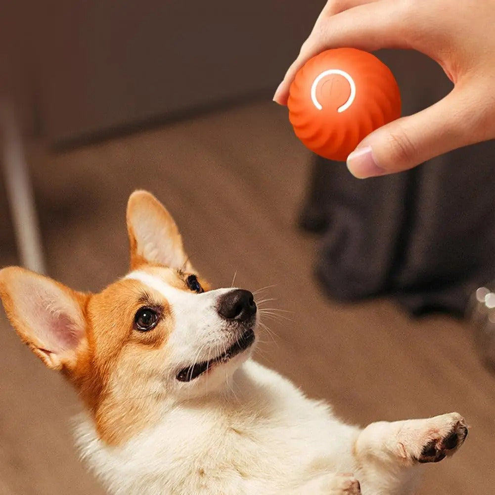 Automatischer Hundeball, interaktives Spielzeug für Welpen & Hunde. Motiviert zum Spielen & sorgt für Zahnpflege.