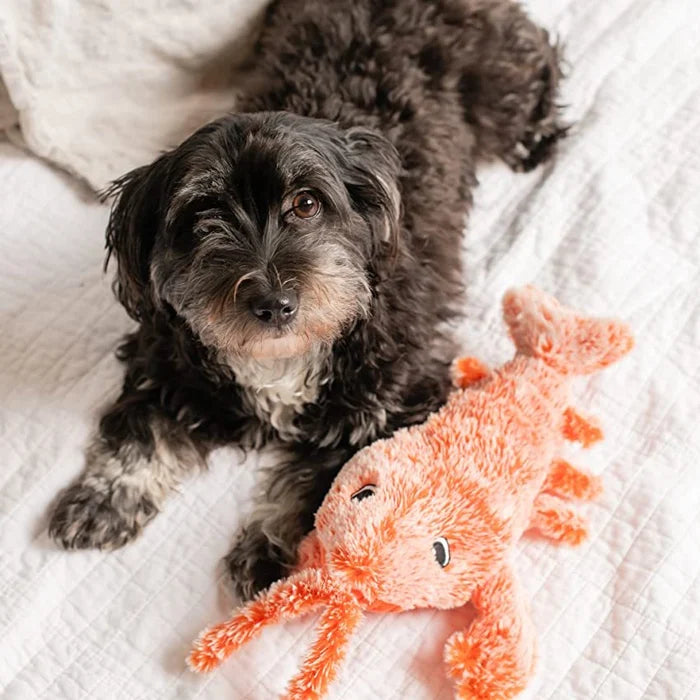 Interaktives Hundespielzeug PlayPal mit Bewegungssensor für aktive Hunde. Robustes, bewegliches Spielzeug gegen Langeweile.