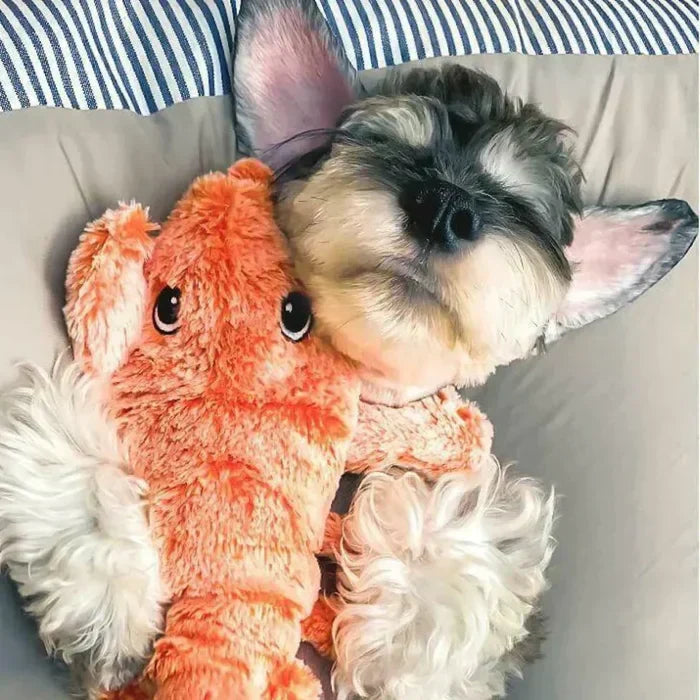 Dieses interaktive Hundespielzeug mit Bewegungssensor beendet die Langeweile. Für aktive Hunde & Welpen.