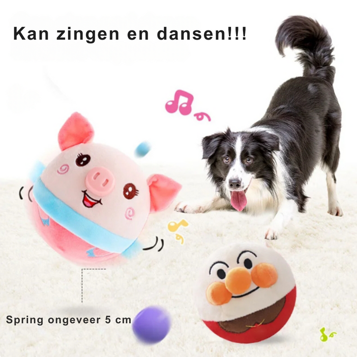 Interaktives Hundespielzeug Rover in Aktion, fördert Bewegung und Spass bei aktiven Hunden.