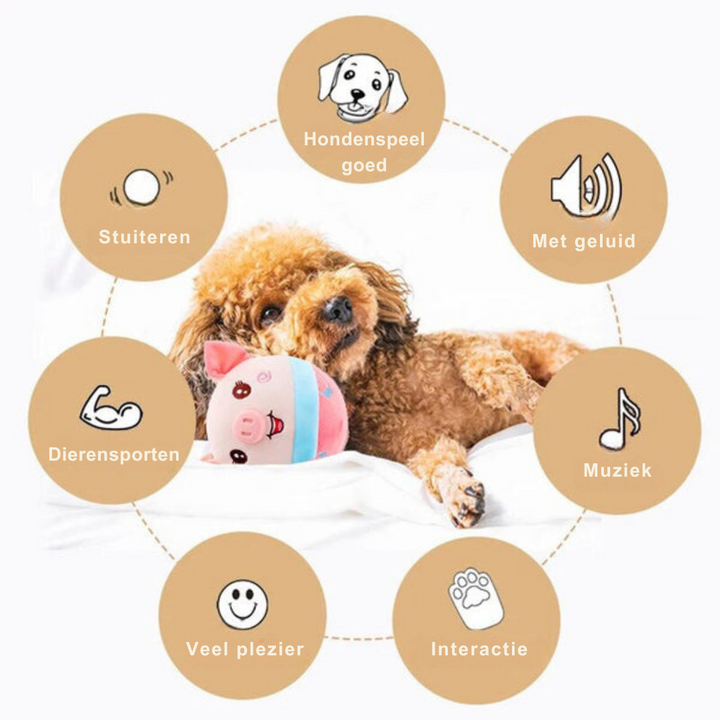Rover Hundespielzeug, interaktiv und beweglich, stimuliert Hunde physisch und mental für mehr Spass.