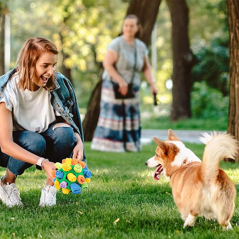 Bunter Schnüffelteppich für Hunde, interaktives Spielzeug zur mentalen Beschäftigung und Suchtraining für Welpen.