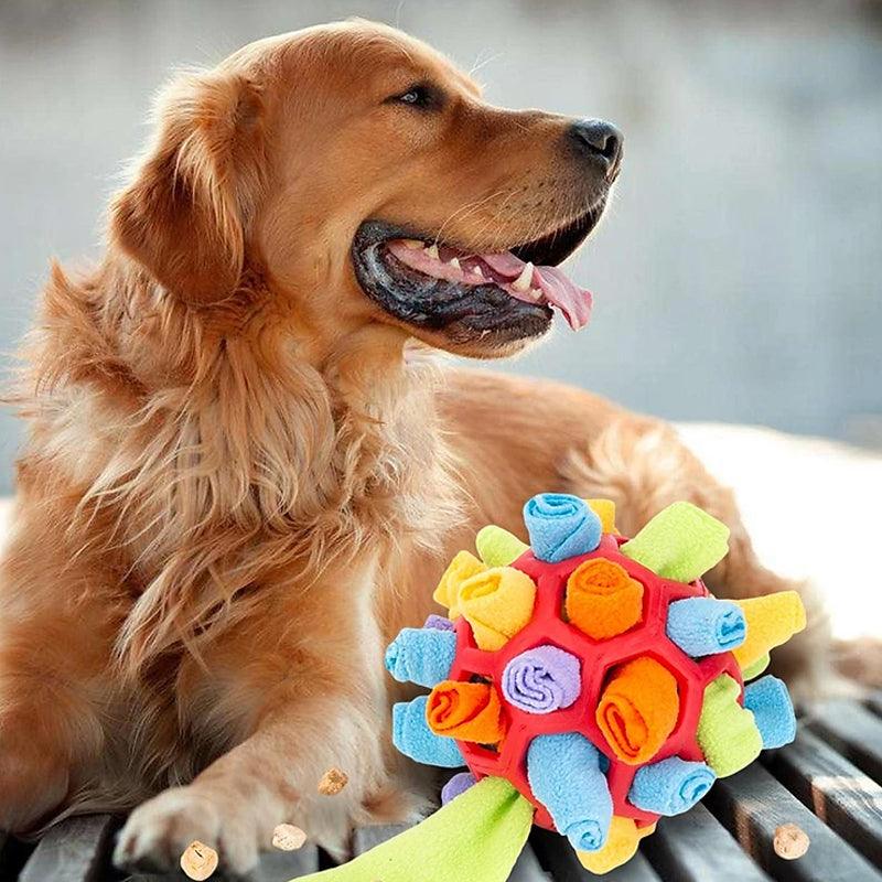 Geistige Stimulation für Hunde: SnuffleFun interaktives Hundespielzeug als Schnüffelteppich für Stressabbau.