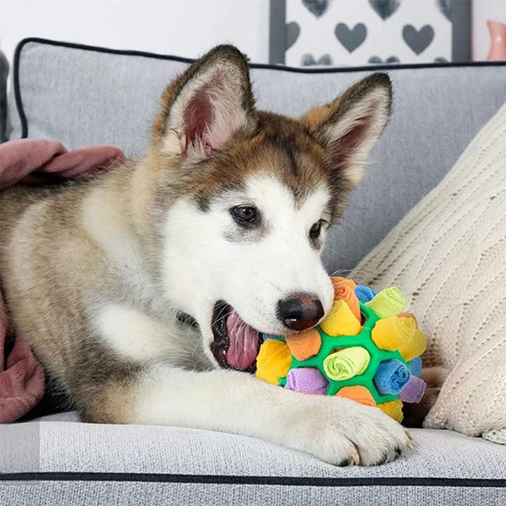 Detailansicht SnuffleFun interaktiver Schnüffelteppich für Hunde & Welpen. Ideales Suchspiel und Trainingsspielzeug.