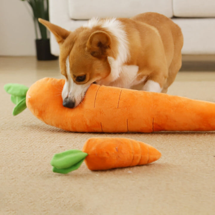 Interaktives Karotten-Hundespielzeug aus Plüsch mit Quietscher. Ideal zum Kauen und Spielen.