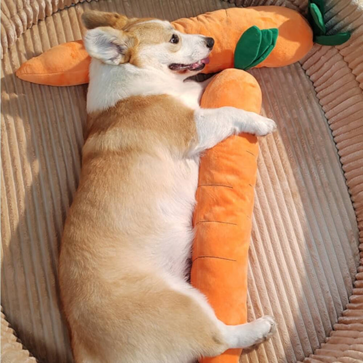 Süßes Karotten-Hundespielzeug mit integriertem Quietscher. Perfekt für interaktives Spielen und Kauen.