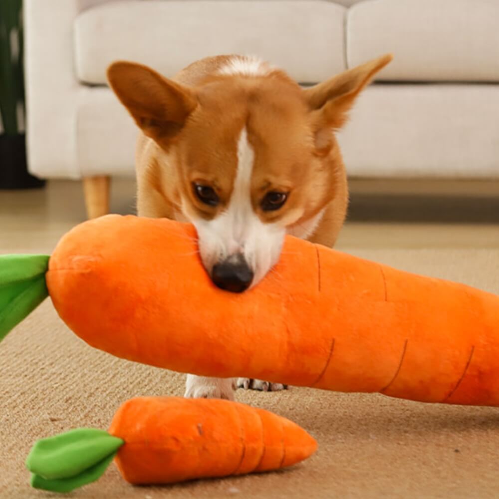 Orangefarbenes Plüsch-Karotten-Hundespielzeug mit grünen Blättern und Quietscher. Attraktiv für Hunde.
