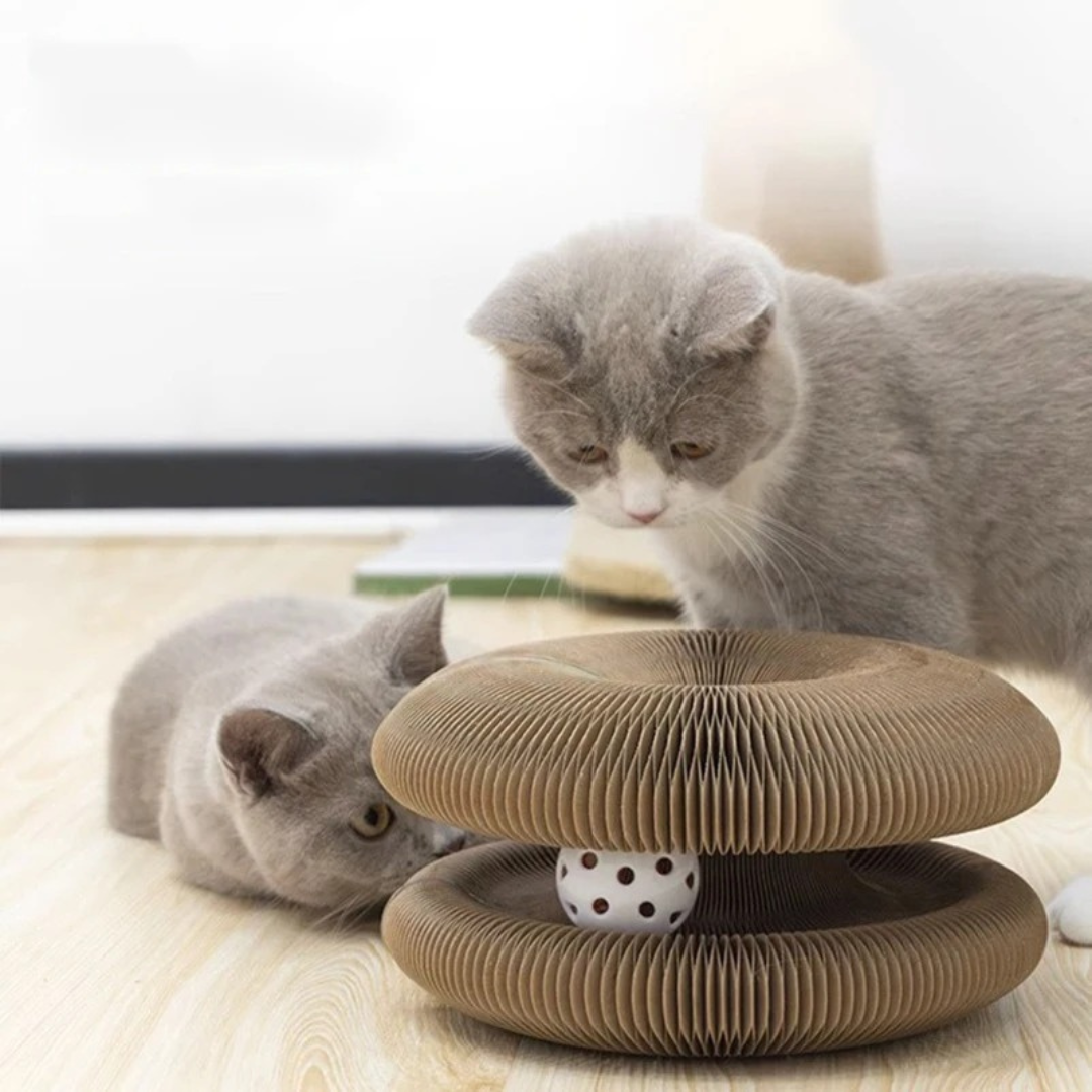 Interaktives Katzen Kratzbrett & Ballspielzeug für Stubentiger. Fördert Aktivität & Stressabbau.