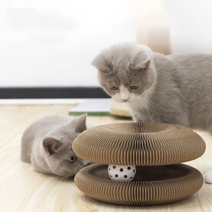 Interaktives Katzen Kratzbrett & Ballspielzeug für Stubentiger. Fördert Aktivität & Stressabbau.