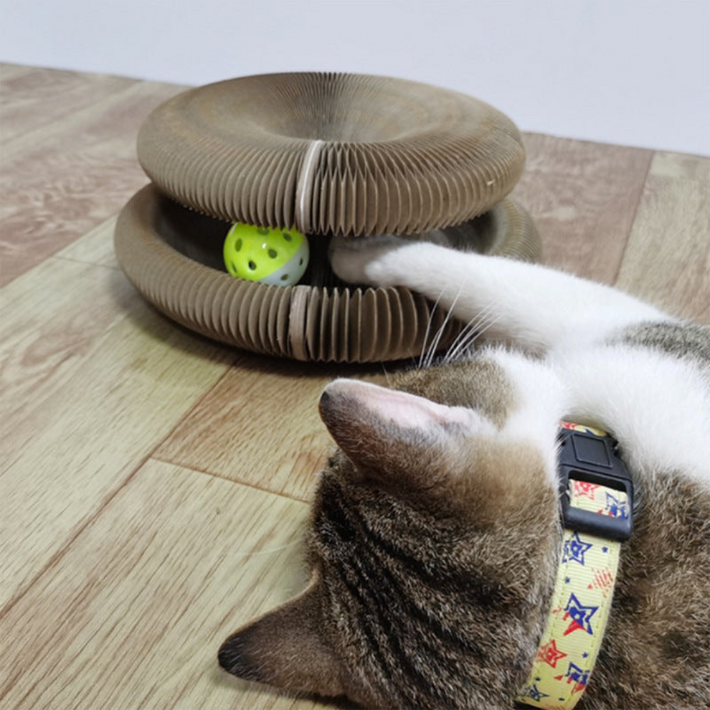 Katzen Kratzbrett mit robustem Karton schützt Möbel. Ideal für Krallenpflege & Stressabbau.