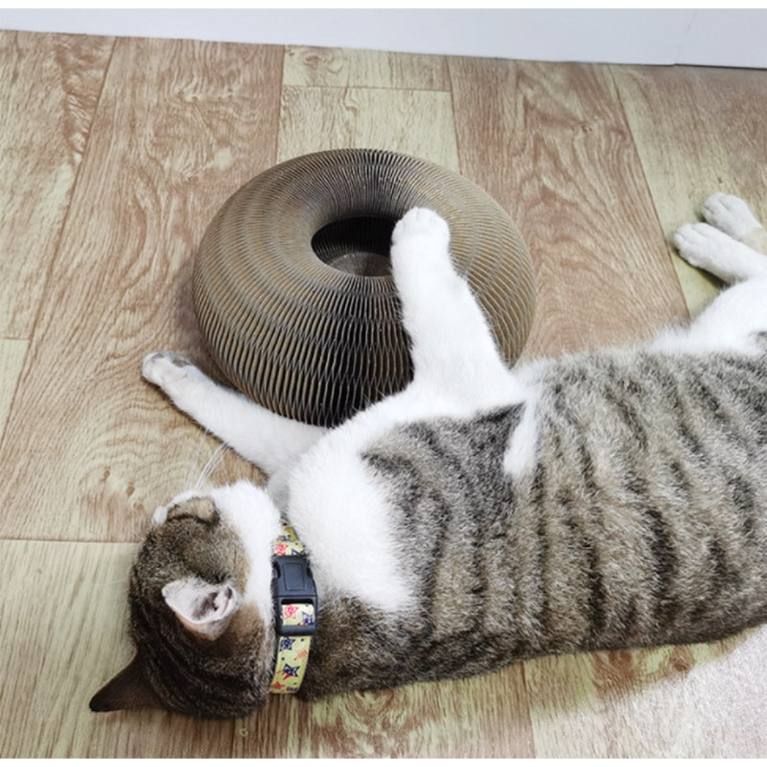 Robustes Katzen Kratzbrett & Ballspiel für Möbel. Schützt Sofa & Teppich vor Kratzspuren.