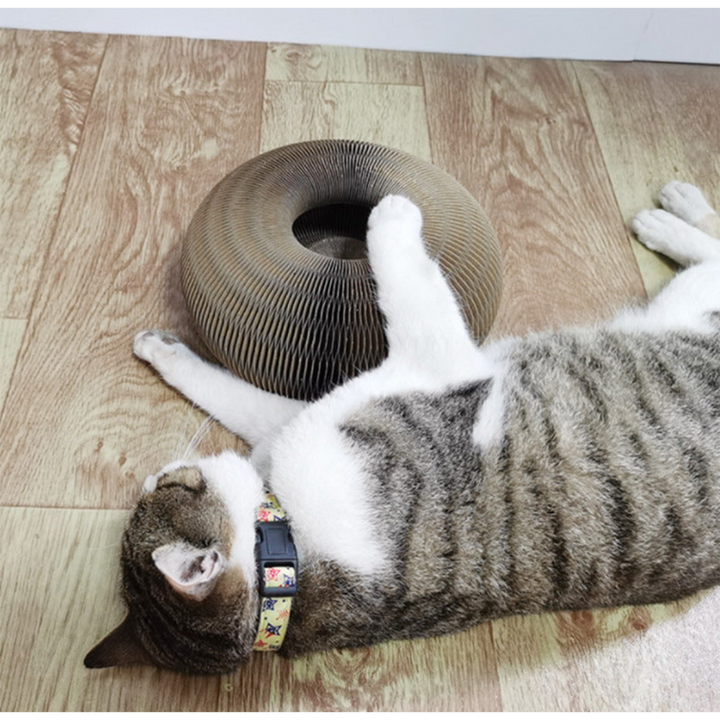 Robustes Katzen Kratzbrett & Ballspiel für Möbel. Schützt Sofa & Teppich vor Kratzspuren.