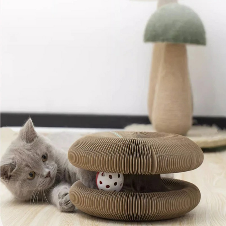 Katzenspielzeug mit interaktiven Bällen weckt den Jagdinstinkt. Tolles Haustierzubehör für Katzen.