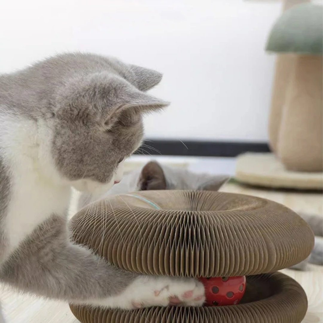 Katzen Kratzbrett fördert natürliche Kratzgewohnheiten. Ideales Haustierzubehör für Stubentiger.