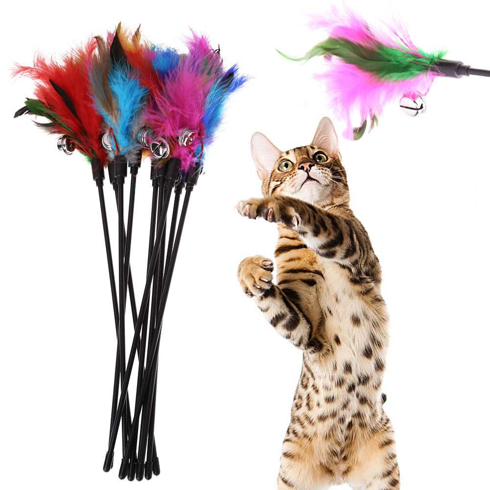 Interaktives Katzenspielzeug 5er Set mit bunten Federn weckt Jagdtrieb. Ideales Federspielzeug für Stubentiger.