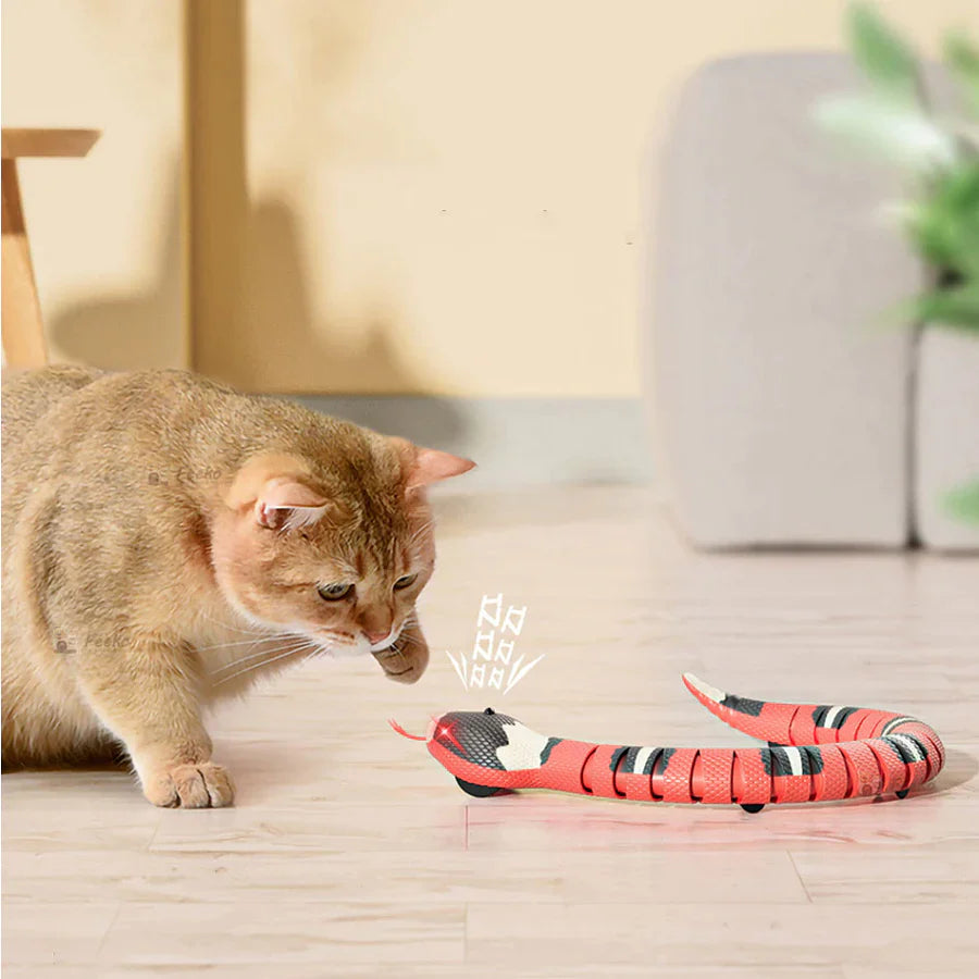 Interaktives Katzenspielzeug für aktive Katzen, fördert Bewegung & Jagdinstinkt. Spielzeug Katze mit viel Spielfreude.