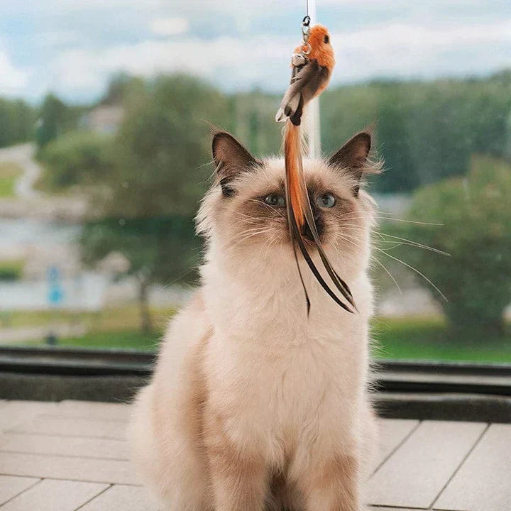 Dynamisches Tierspielzeug: Interaktives Katzenspielzeug, stimuliert Jagdinstinkt und Tierbeschäftigung.