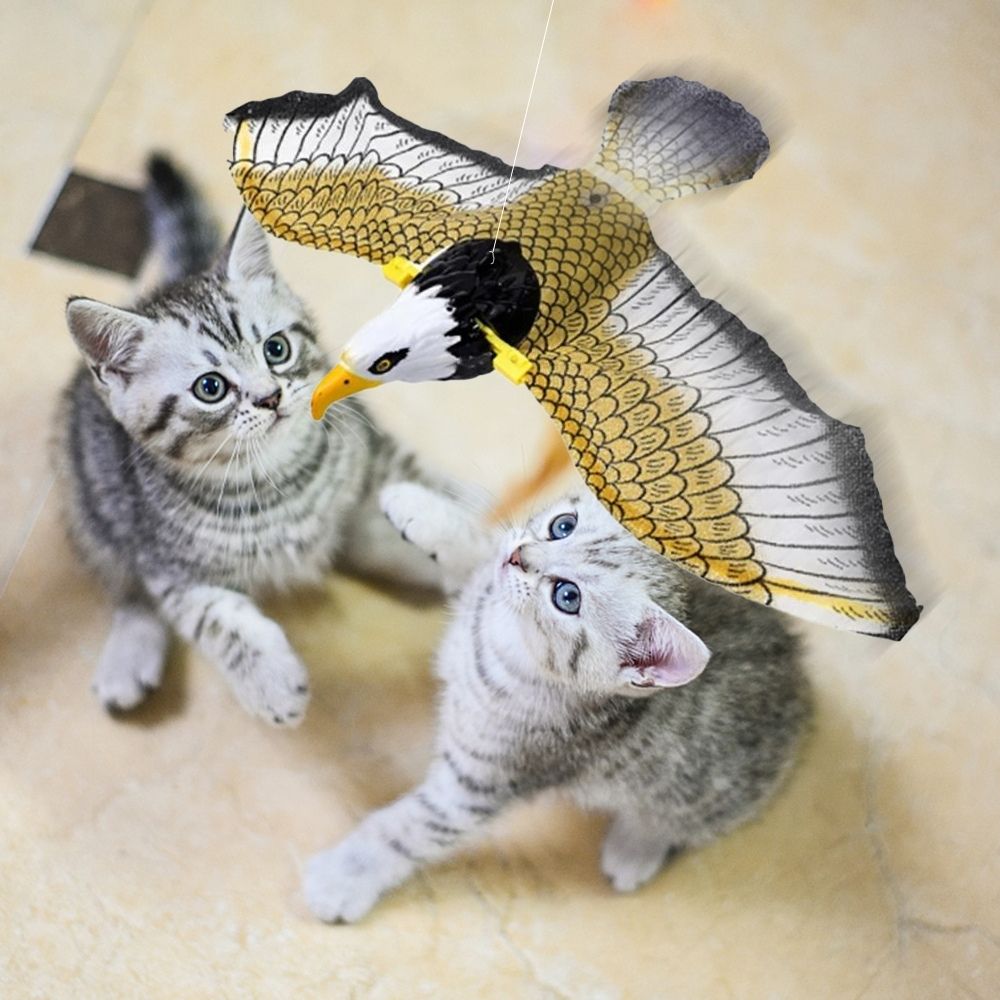 Interaktives Katzenspielzeug FeatherFlight™ mit Feder zum Spielen und Bewegen für Katzen.