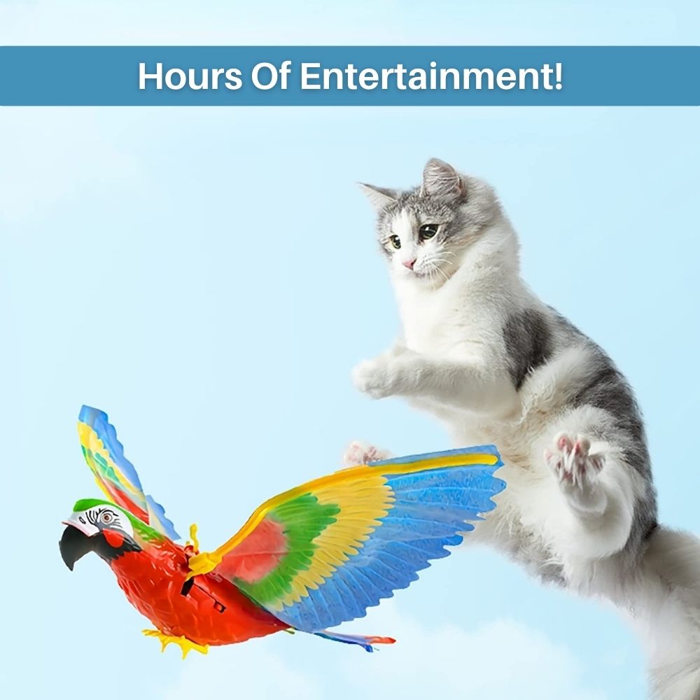 Dynamisches Interaktives Katzenspielzeug FeatherFlight™ fördert Spiel und Bewegung bei allen Katzen.