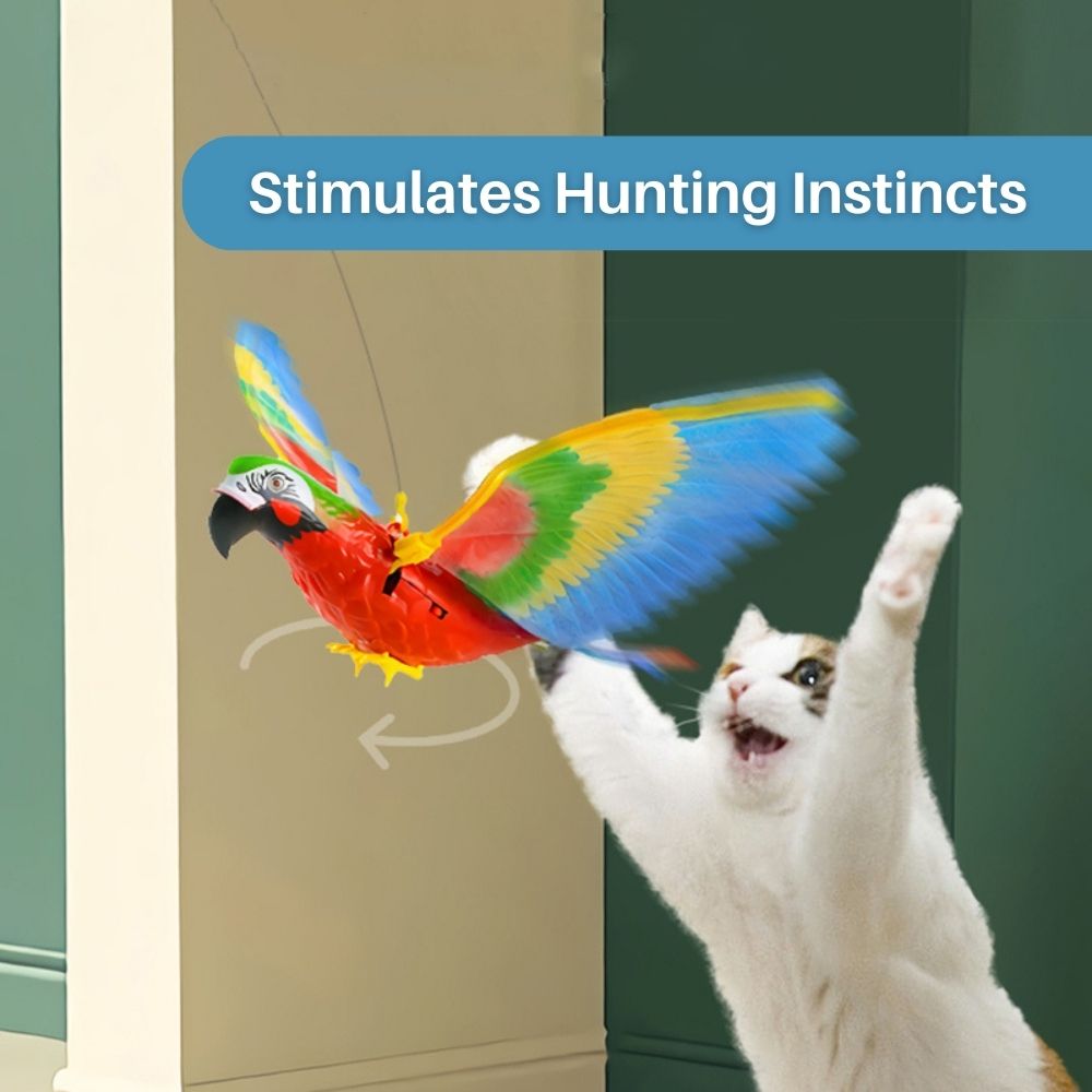 Eine Katze spielt begeistert mit dem interaktiven FeatherFlight™ Feder-Katzenspielzeug.