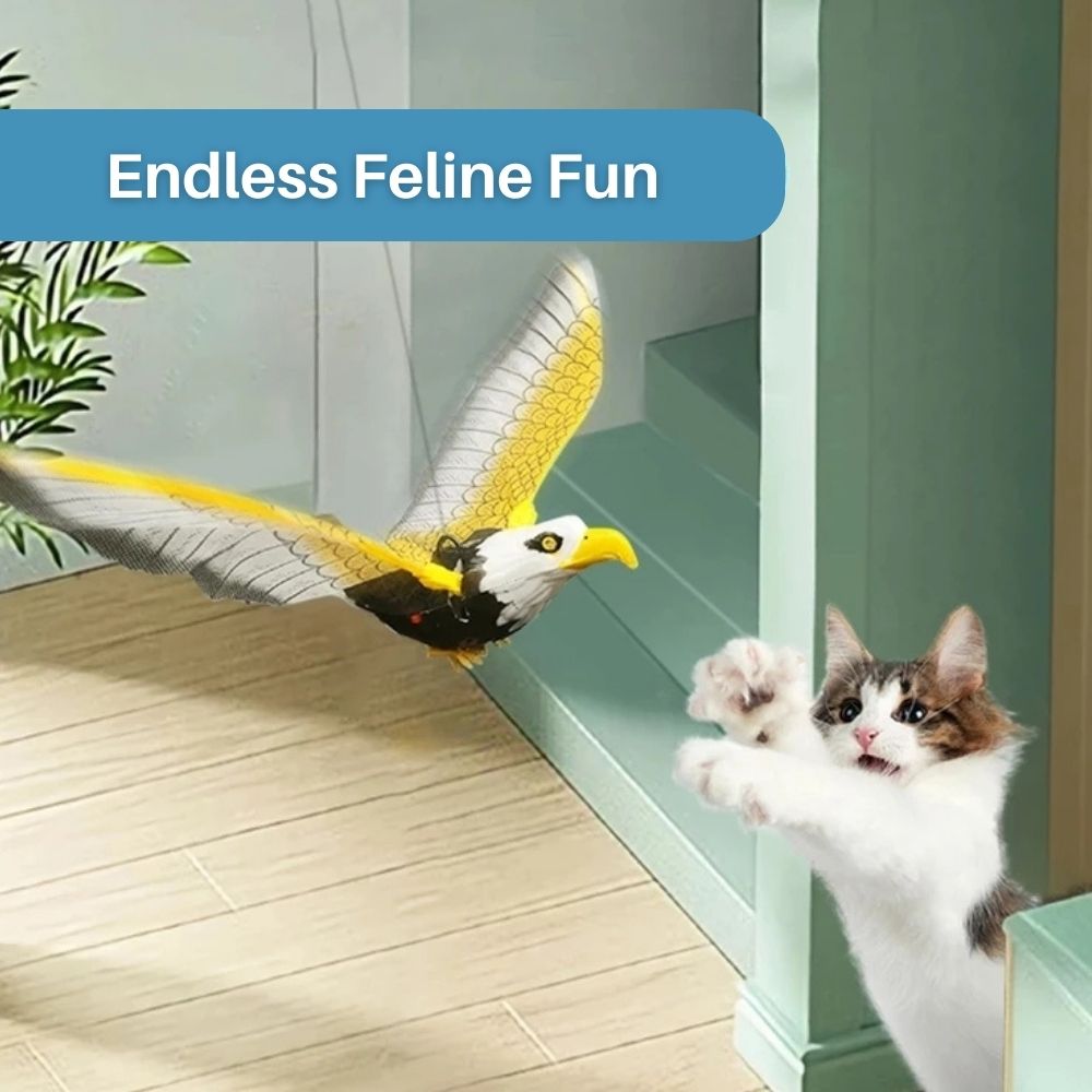 Nahaufnahme des FeatherFlight™ interaktiven Katzenspielzeugs mit bunten, natürlichen Federn.