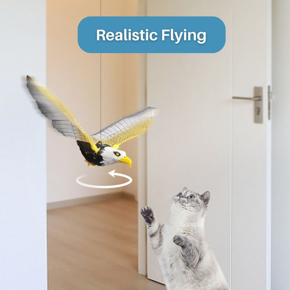 FeatherFlight™ Katzenspielzeug in Aktion, animiert die Katze zum Jagen, Fangen und Bewegen.