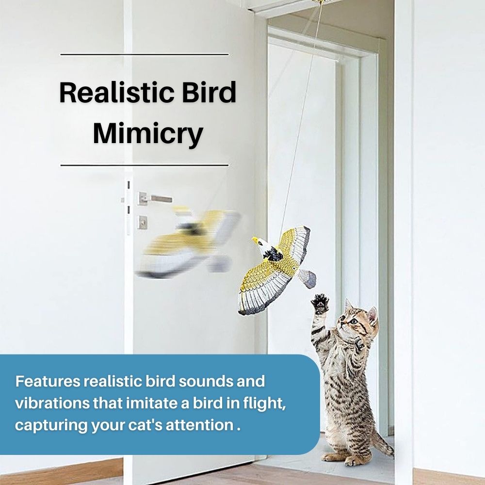 Interaktives FeatherFlight™ Spielzeug für Katzen: Spaß, Bewegung und stimuliert den Jagdinstinkt effektiv.