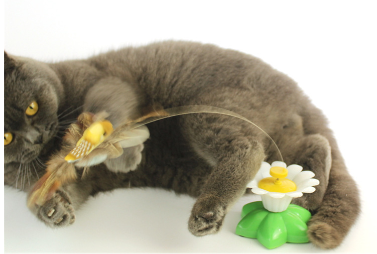 Bewegliches Katzenspielzeug FlutterPaw weckt den Jagdinstinkt. Mit realistisch flatterndem Schmetterling & Kolibri.