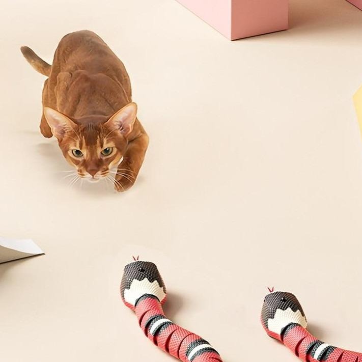Interaktives Katzenspielzeug in Form einer realistischen Schlange. Fördert den Jagdtrieb und Spielspaß bei Katzen.