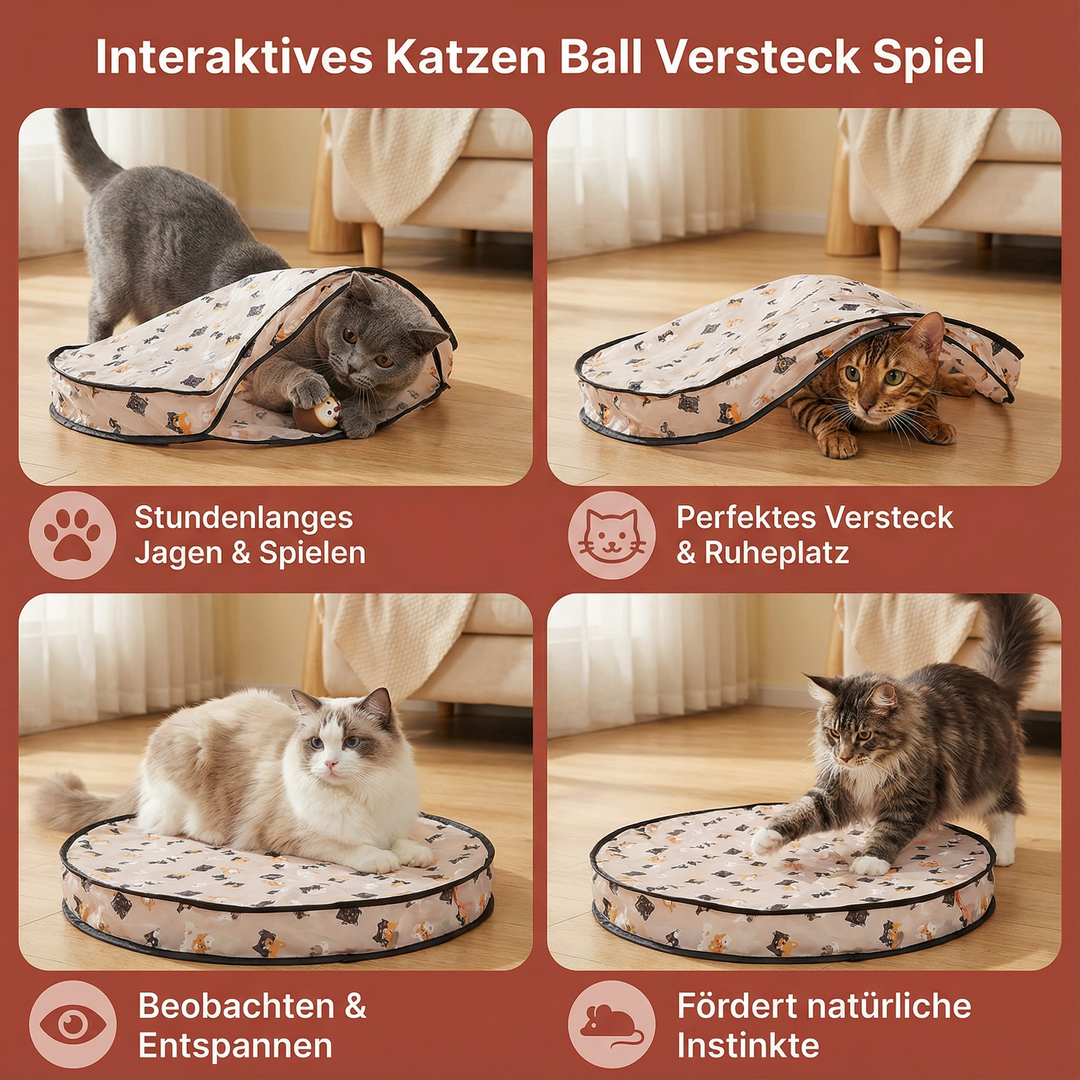 Interaktives Katzen Ball Versteck Spiel mit mehreren Bällen. Sorgt für Jagdspaß & Beschäftigung der Katze.