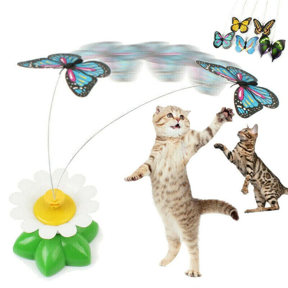 Interaktives Katzenspielzeug mit flatterndem Schmetterling. Fördert Bewegung und Jagdtrieb für Katzenunterhaltung.