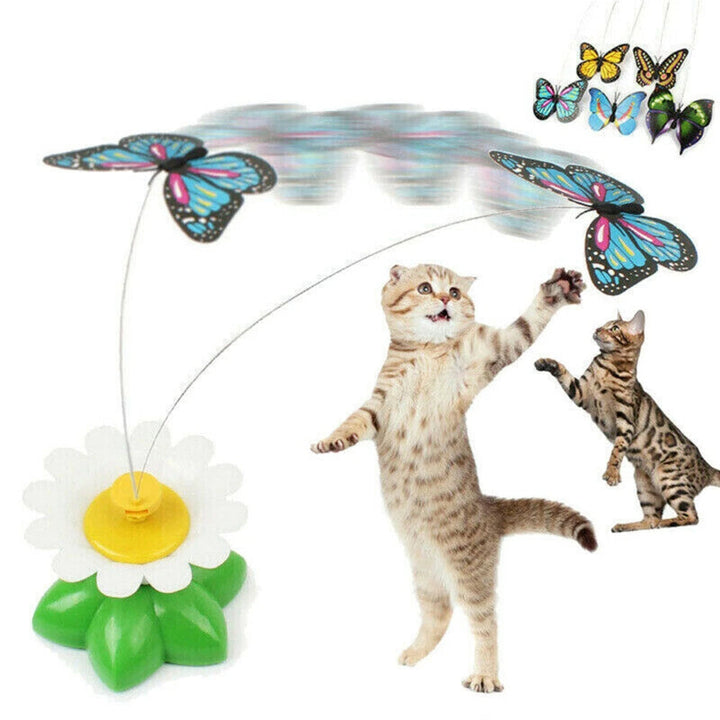 Interaktives Katzenspielzeug mit flatterndem Schmetterling. Fördert Bewegung und Jagdtrieb für Katzenunterhaltung.