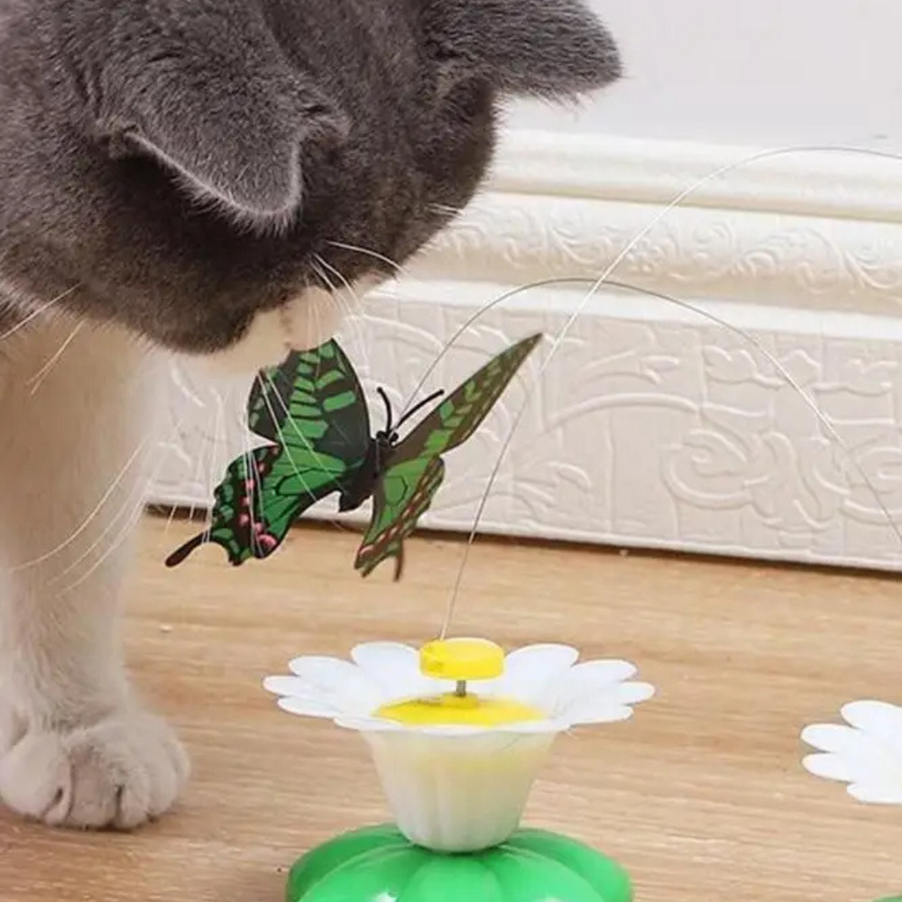 Katzenspielzeug interaktiv: Schmetterling Spiel für Katzen gegen Langeweile. Stimuliert Jagdtrieb und bietet Spaß.
