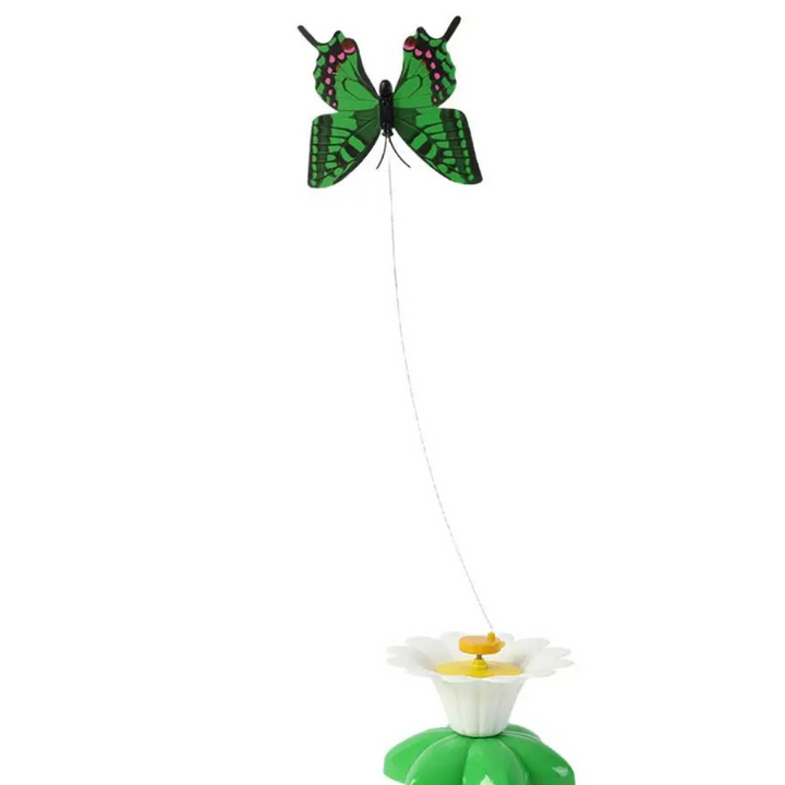 Katzenspielzeug interaktiv mit flatterndem Schmetterling. Perfekt für Jagdtrieb und aktive Katzenunterhaltung.
