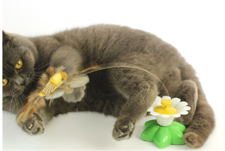 Bewegliches Kolibri-Katzenspielzeug fördert den Spieltrieb und die aktive Bewegung Ihrer Katze.