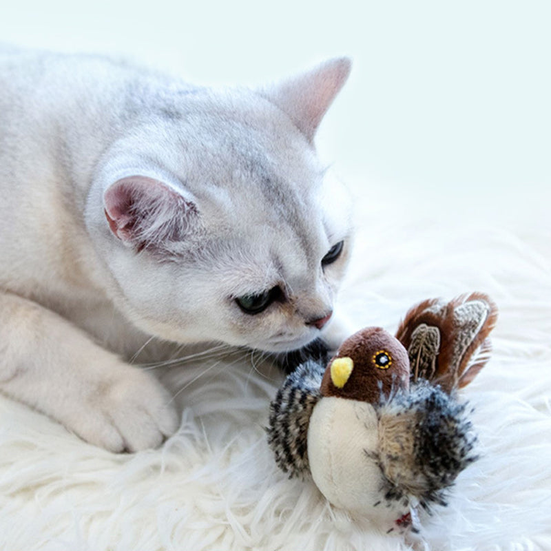 Katzenspielzeug Vögelchen mit echtem Zwitschern, Plüsch & Feder, für Spiel & Jagdinstinkt.