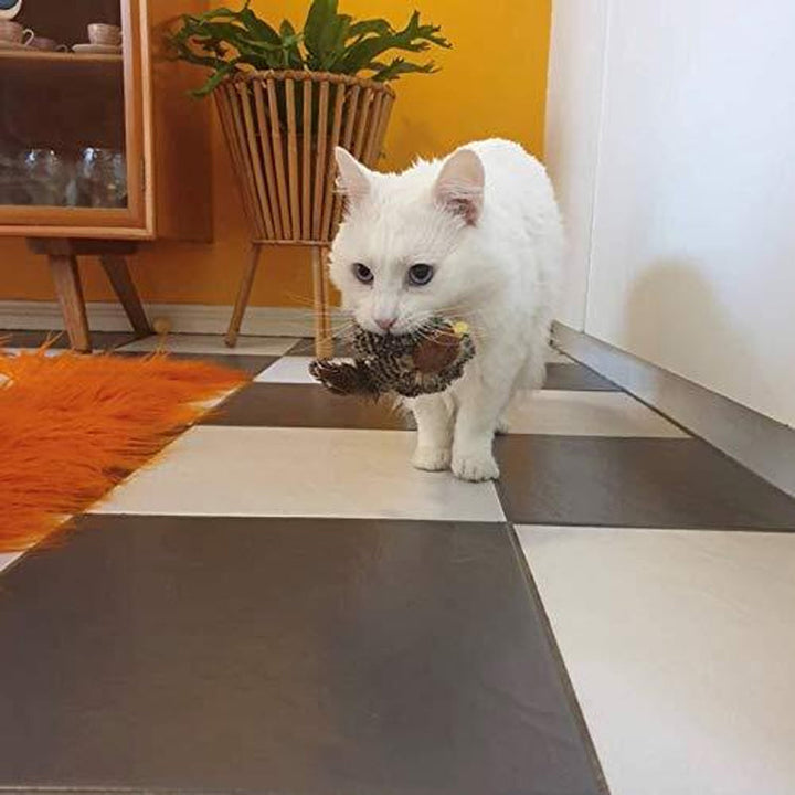 Feder-Katzenspielzeug mit Zwitschern, Haustierspielzeug für aktive und spielfreudige Katzen.