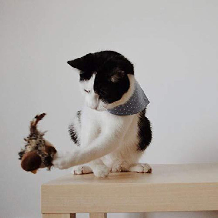 Plüsch-Katzenspielzeug mit Vogelstimmen und Federn, weckt den Jagdinstinkt Ihrer Katze.