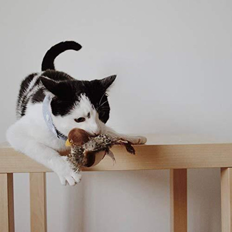 Interaktives Tierbedarf-Spielzeug, Zwitscher-Vogel für Katzen, fördert Aktivität & Spiel.