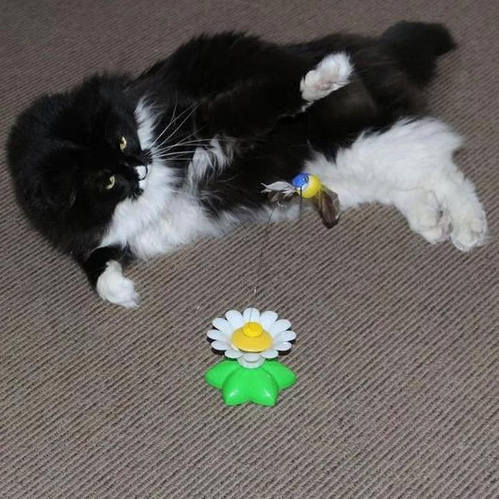 Dynamisches Katzenspielzeug für stundenlangen Spielspaß und tägliche Bewegung der Katze.