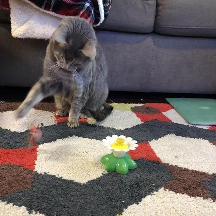 Das interaktive Spielzeug weckt den Jagdinstinkt jeder Katze, sorgt für Fitness und Unterhaltung.