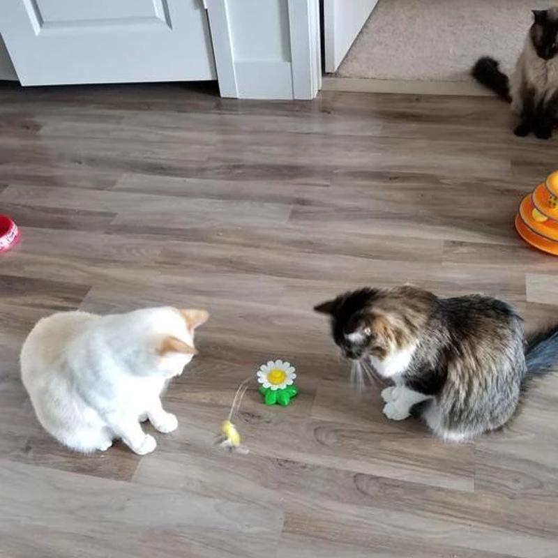 Detailansicht des Motors und der Basis des interaktiven Katzenspielzeugs "Purrfect Play".